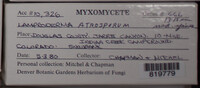 Image Associated With the Occurence